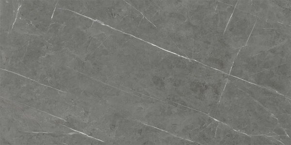 Tessino Grey Pulido 60x120 R