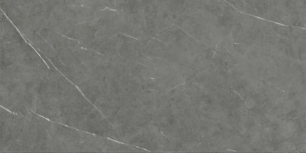 Tessino Grey Pulido 60x120 R
