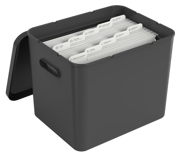 Rotho Úložný box na dokumenty na archiváciu + 10 závesných zakladačov, myPAPER BOX – čierny