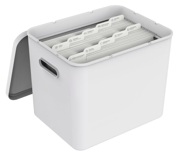 Rotho Úložný box na dokumenty, na archiváciu + 10 závesných zakladačov, myPAPER BOX - biely