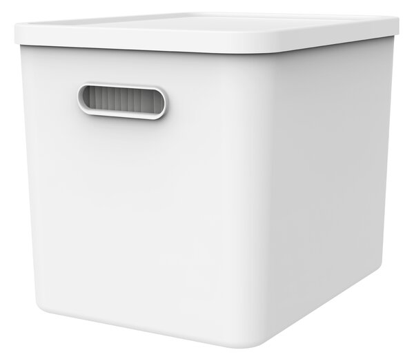Rotho Úložný box na dokumenty, na archiváciu + 10 závesných zakladačov, myPAPER BOX - biely