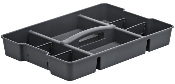 Rotho Doplnok k úložným boxom EVO, organizér 2v1, vložka pre EVO 30 l a 44 l, sivý