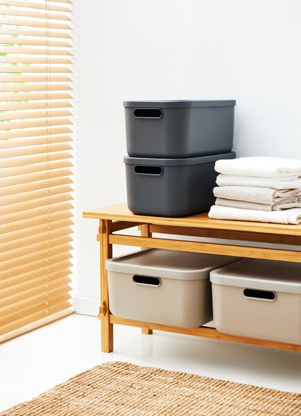 Rotho Box s vekom 12 l