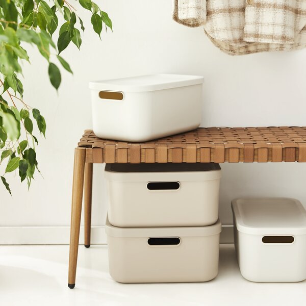 Rotho Box s vekom 12 l
