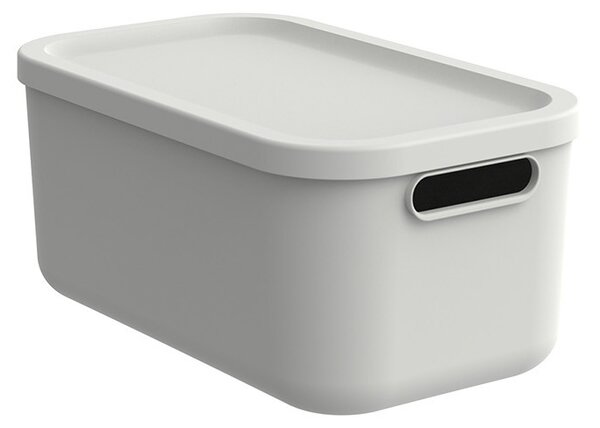 Rotho Box s vekom 12 l