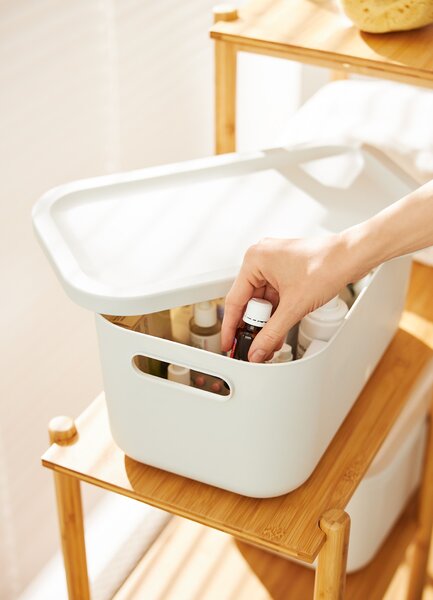 Rotho Box s vekom 12 l