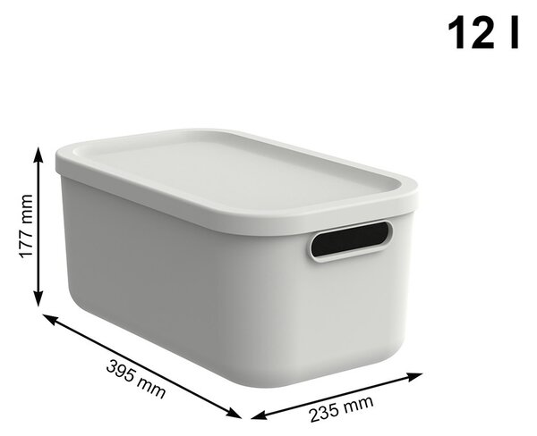 Rotho Box s vekom 12 l