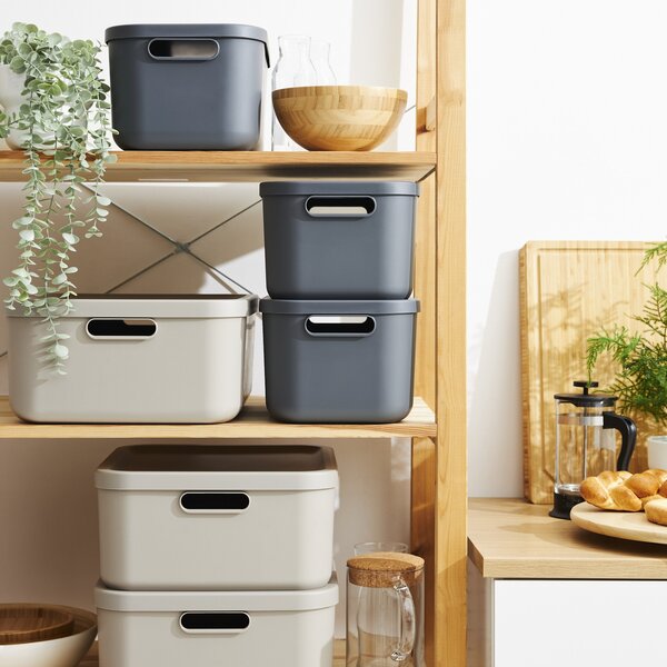 Rotho Box s vekom 12 l
