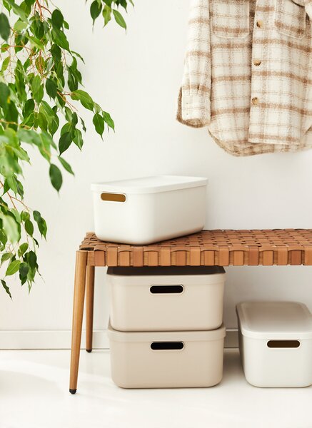 Rotho Box s vekom 12 l