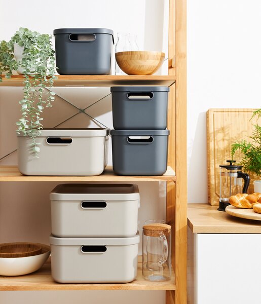Rotho Box s vekom 12 l
