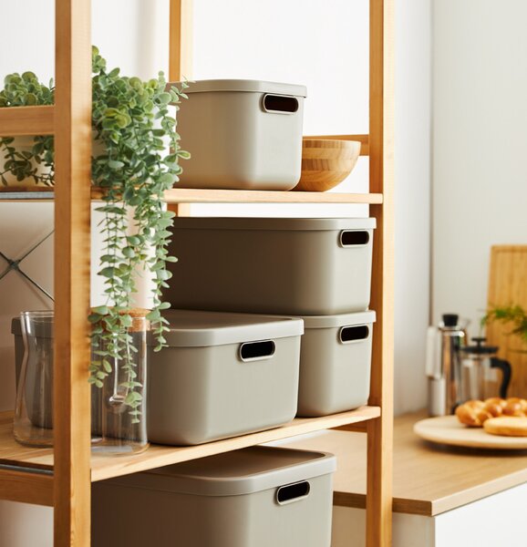 Rotho Box s vekom 12 l