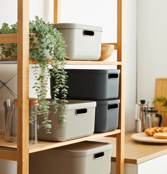 Rotho Box s vekom 12 l