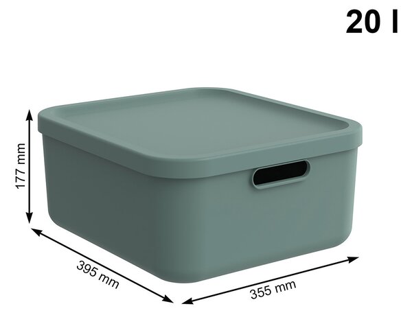 Rotho Úložný box, rovný s vekom, 20 l, matná zelená ALBU LIGHT, 40 x 36 x 18