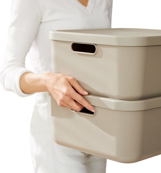 Rotho Úložný box, rovný s vekom, 20 l, cappuccino ALBU LIGHT, 40 x 36 x 18 cm