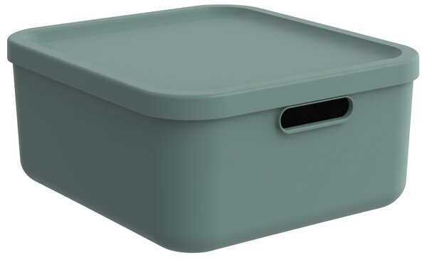 Rotho Úložný box, rovný s vekom, 20 l, matná zelená ALBU LIGHT, 40 x 36 x 18