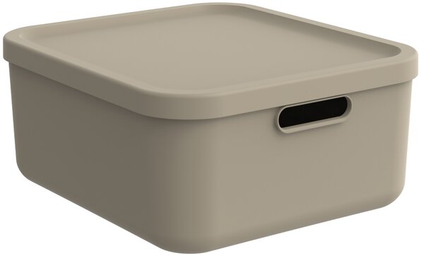 Rotho Úložný box, rovný s vekom, 20 l, cappuccino ALBU LIGHT, 40 x 36 x 18 cm