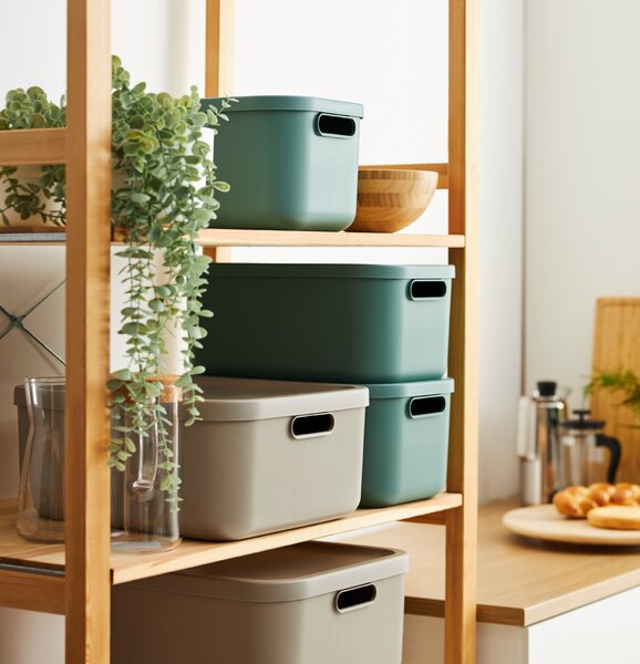 Rotho Úložný box, rovný s vekom, 12 l, matne zelený ALBU LIGHT, 40x24x18