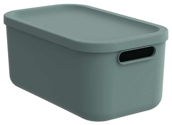 Rotho Úložný box, rovný s vekom, 12 l, matne zelený ALBU LIGHT, 40x24x18