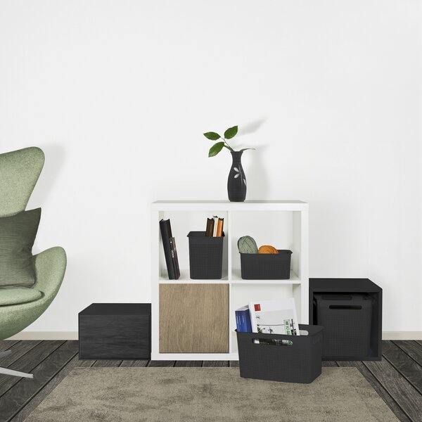 Rotho Úložný box s rúčkami BRISEN 18 l, 29 x 29 x 29 cm, čierny