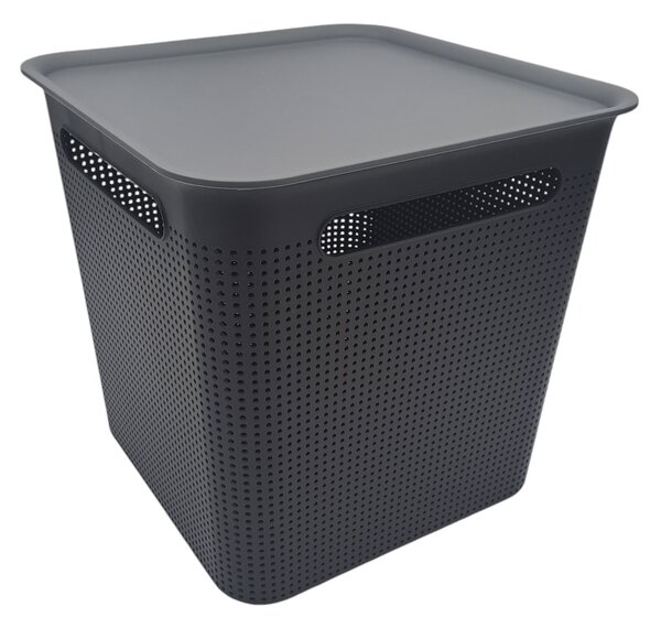 Rotho Úložný box s rúčkami BRISEN 18 l, 29 x 29 x 29 cm, čierny