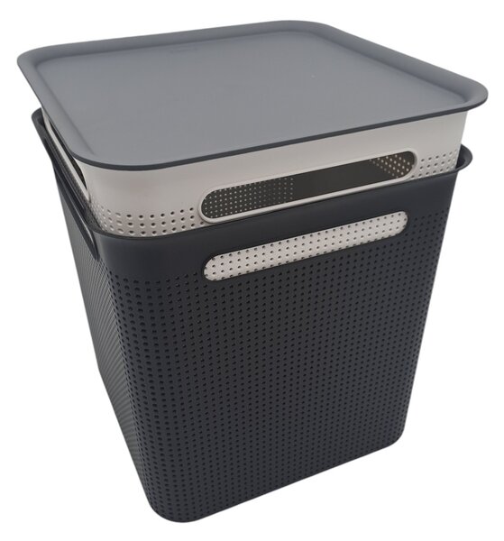 Rotho Úložný box s rúčkami BRISEN 18 l, 29 x 29 x 29 cm, čierny
