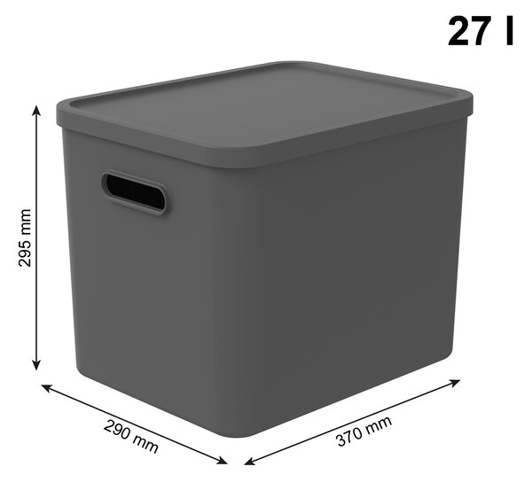 Rotho Úložný box, rovný s vekom, 27l, antracit ALBU LIGHT, 37x29x30