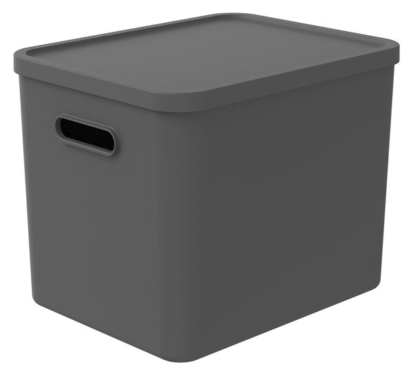 Rotho Úložný box, rovný s vekom, 27l, antracit ALBU LIGHT, 37x29x30