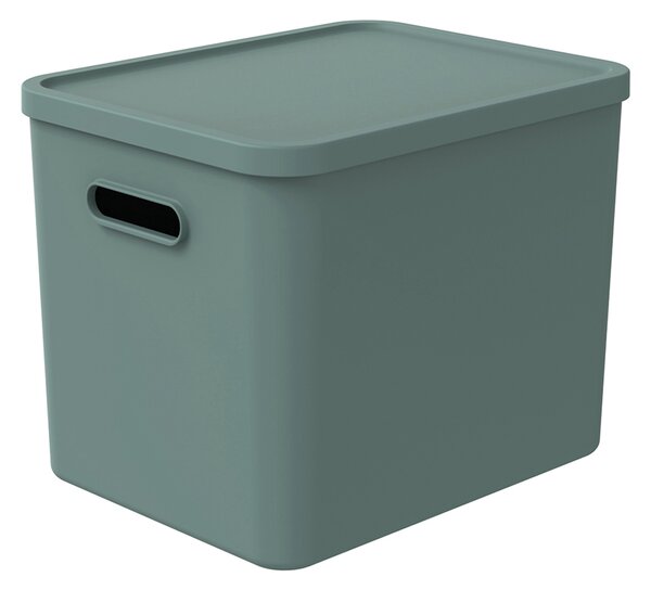 Rotho Úložný box, rovný s víkom, 27l, matná zelená ALBU LIGHT, 37x29x30