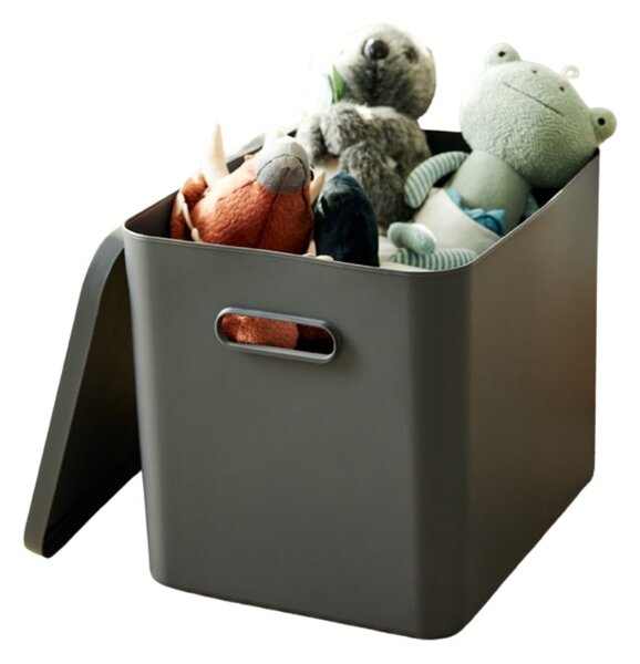 Rotho Úložný box, rovný s vekom, 27l, antracit ALBU LIGHT, 37x29x30