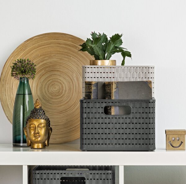 Rotho Úložný box Country 28 l, béžová