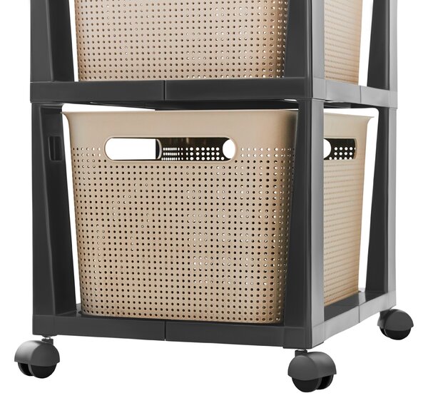 Rotho Úložný box Brisen 3 x 16L antracit cappucino 1049707422