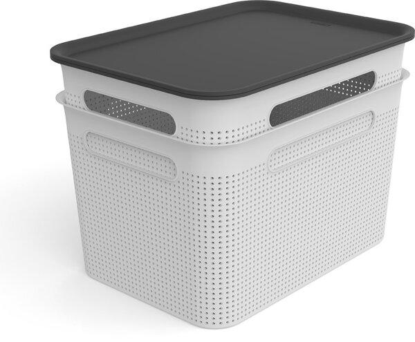 Rotho Úložný box s rúčkami BRISEN 16l, 36x26,2x21cm, čierny