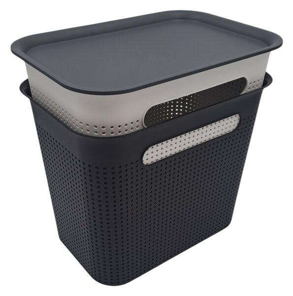 Rotho Úložný box s vekom a s držadlami BRISEN 7l, 26x18x21cm, čierny
