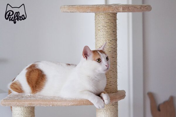 Béžové škrabadlo ALICANTE 142cm, Trixie, Výber Kupujem pre útulkáčov