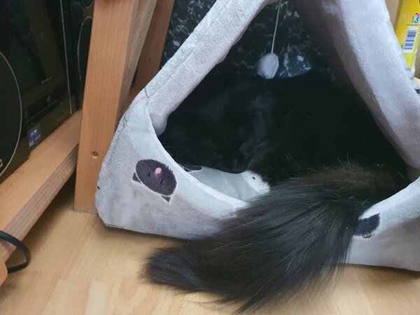Kukaňa so strieškou a hračkou - MIMI sivá so vzorom 42cm, Trixie