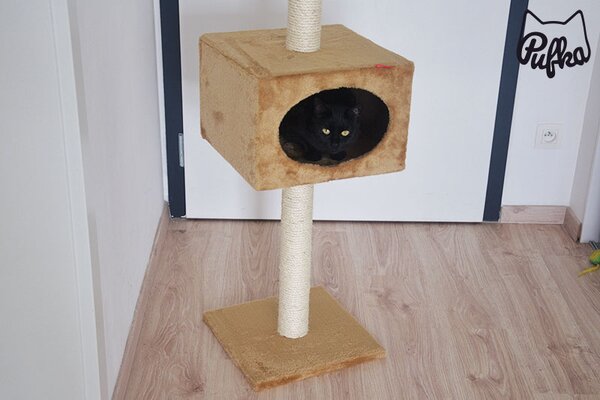 Škrabadlo po strop CANDIDE 230-270cm, Tommi, Výber Kupujem pre útulkáčov