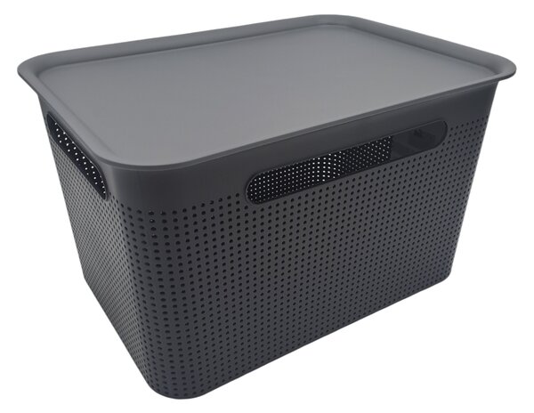 Rotho Úložný box s rúčkami BRISEN 16l, 36x26,2x21cm, čierny