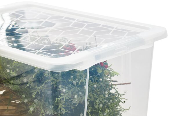 Rotho Univerzálny úložný box, krabica s vekom, EVO, transparent - 58x39x28, 44l