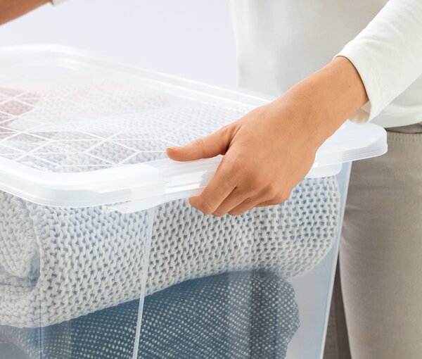 Rotho Univerzálny úložný box, krabica s vekom, EVO, transparent - 58x39x28, 44l