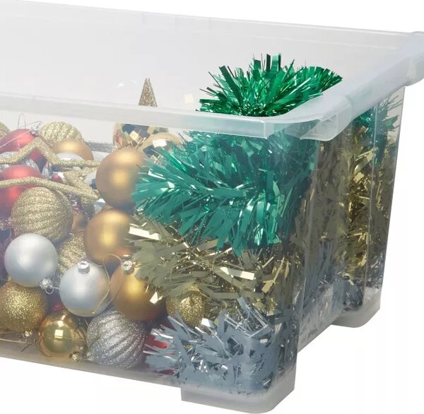 Rotho Univerzálny úložný box, krabica s vekom, EVO, transparent - 58x39x28, 44l