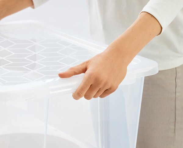Rotho Univerzálny úložný box, krabica s vekom, EVO, transparent - 58x39x28, 44l