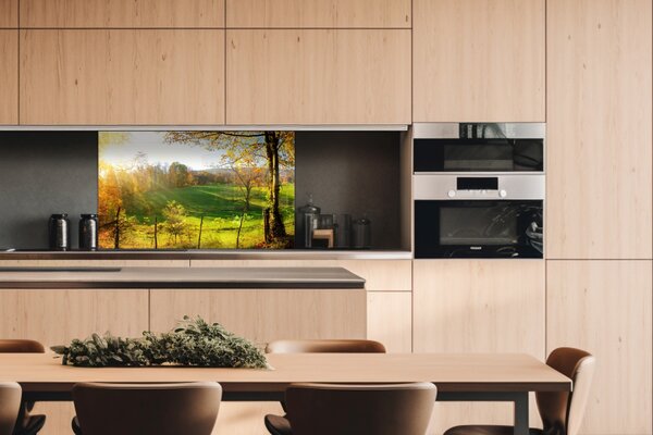 DIMEX | Plexisklo za kuchynskú linku PGT-10060-083 | 100 x 60 cm Lúka
