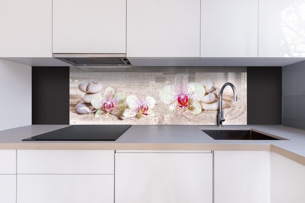 DIMEX | Plexisklo za kuchynskú linku PGT-18060-057 | 180 x 60 cm Záhrada Zen