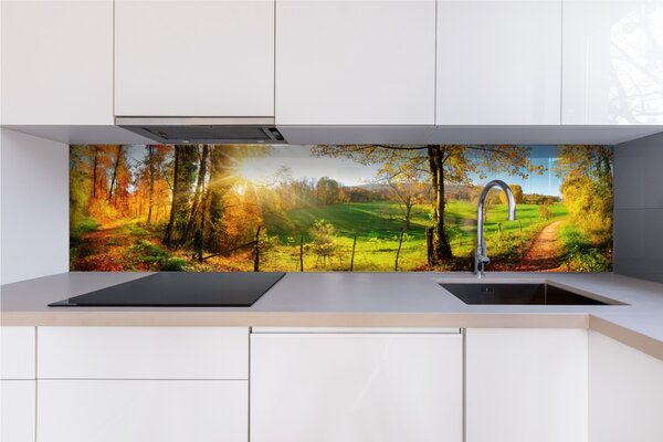 DIMEX | Plexisklo za kuchynskú linku PGT-24060-083 | 240 x 60 cm Lúka