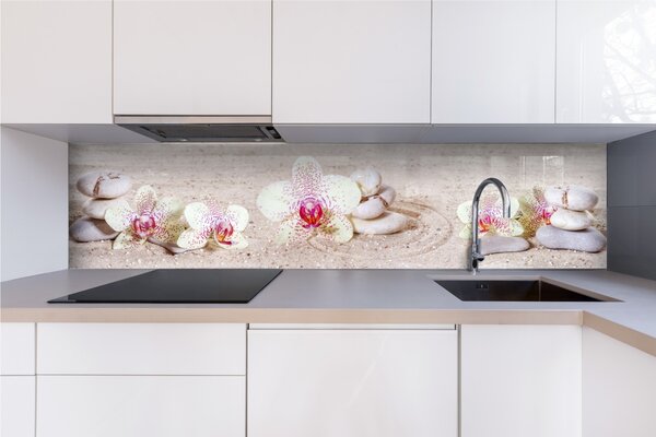 DIMEX | Plexisklo za kuchynskú linku PGT-24060-057 | 240 x 60 cm Záhrada Zen