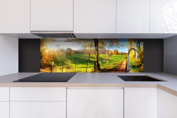 DIMEX | Plexisklo za kuchynskú linku PGT-18060-083 | 180 x 60 cm Lúka