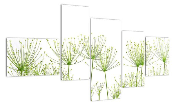 Obraz rastlín na bielom pozadí (Obraz 150x85cm)
