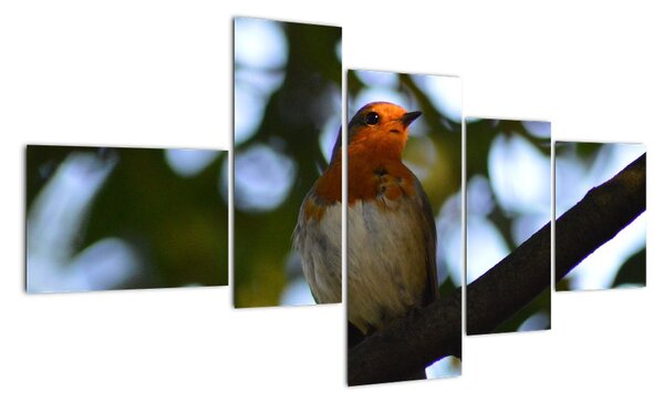 Obraz vtáka na vetve (Obraz 150x85cm)