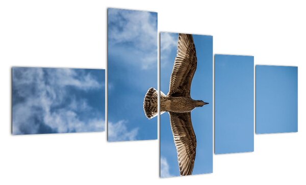 Obraz letiaceho vtáka (Obraz 150x85cm)