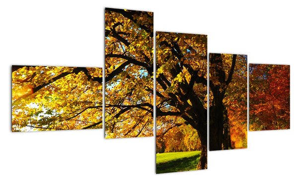 Obraz jesennej krajiny (Obraz 150x85cm)